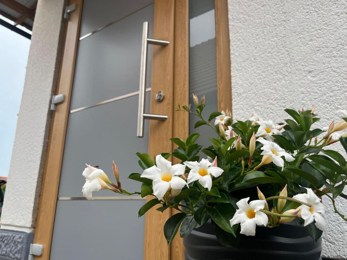 Mala Subotica Apartman Mara מראה חיצוני תמונה